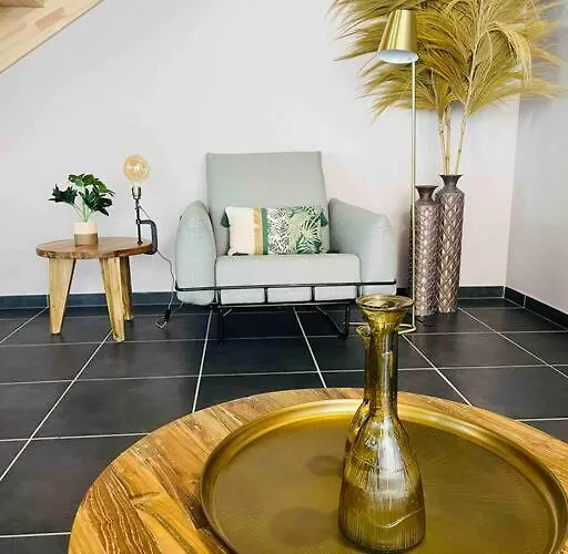 Le Vertigo Proche Centre Histo Avec 2 Parkings * Sarlat