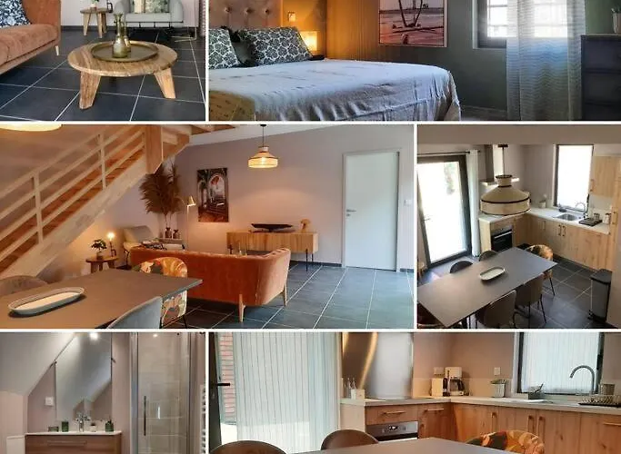 Le Vertigo Proche Centre Histo Avec 2 Parkings *